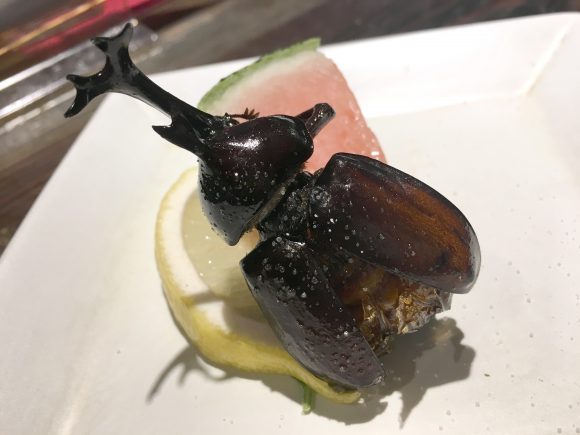 【閲覧注意】カブトムシを食べてみた